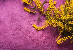 Non chiamatela “Festa della Donna”