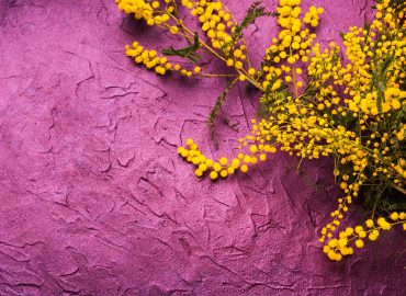 Non chiamatela “Festa della Donna”