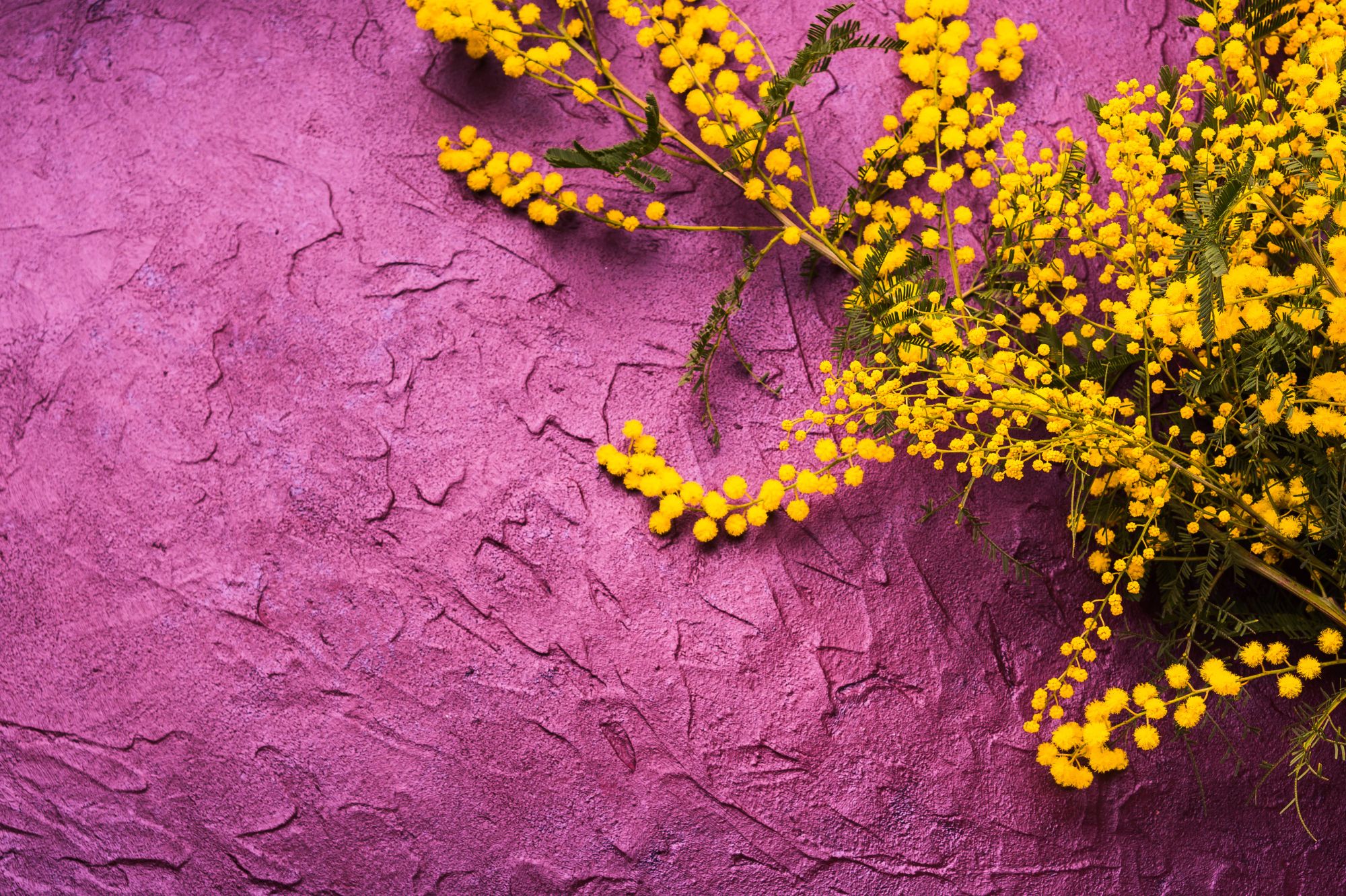 Non chiamatela “Festa della Donna”