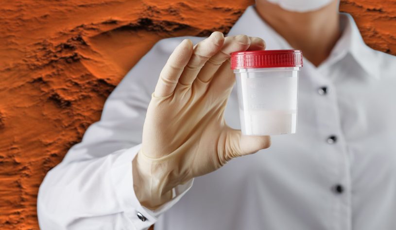 Fare figli su Marte? Gli scienziati: “Gli spermatozoi si disorientano tra le stelle”