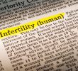 Oltre uomo-donna: così il Glossario sulla fertilità supera tabù e discriminazioni
