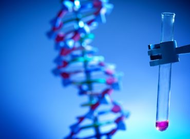 Bambini su misura? L’editing genetico arriva a una nuova scoperta e fa già paura