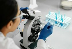 Procreazione assistita, al San Camillo Forlanini una biopsia “legge” il Dna contro le malattie rare