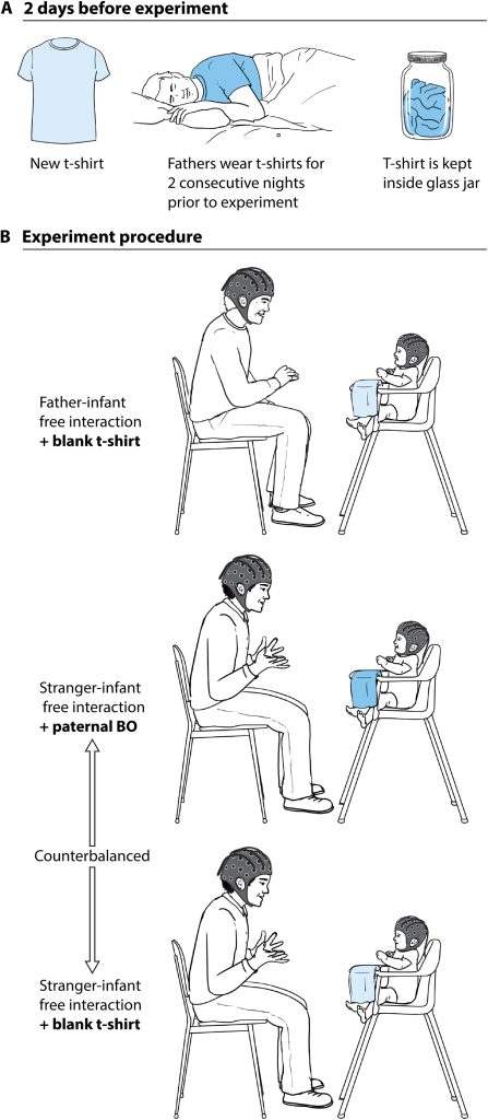 odore papà effetto sui bambini apprendimento associativo studio