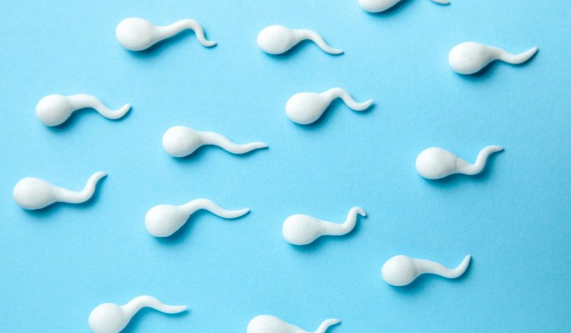 Il tessuto testicolare rimosso a 10 anni e congelato per 16 torna a produrre sperma