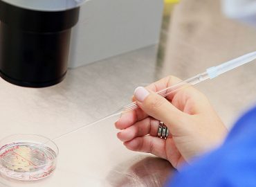 Sperma umano “coltivato” tra topi e macachi: lo studio sull’infertilità parte da una goccia di sangue
