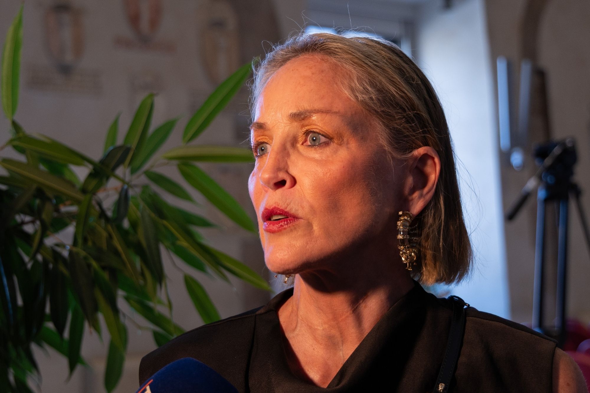 “È ridicolo”, Sharon Stone svela la reazione dell’ex marito dopo la diagnosi di due tumori al seno