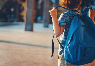Crolli sfiorati, aule sauna e cantieri lumaca: in che condizioni sono le scuole italiane?