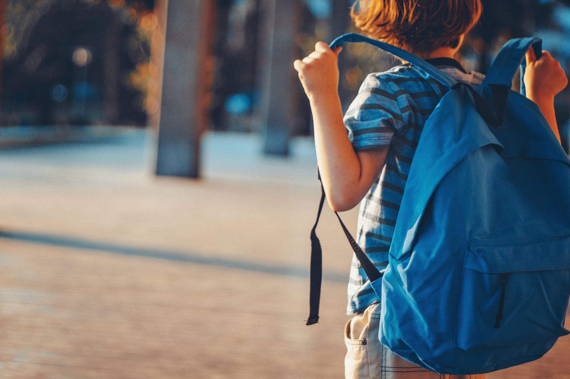 Crolli sfiorati, aule sauna e cantieri lumaca: in che condizioni sono le scuole italiane?