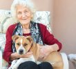 Perché un cane può allungarci la vita? Il segreto di longevità secondo Dan Buettner