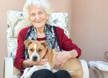 Perché un cane può allungarci la vita? Il segreto di longevità secondo Dan Buettner