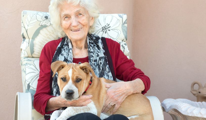 Perché un cane può allungarci la vita? Il segreto di longevità secondo Dan Buettner