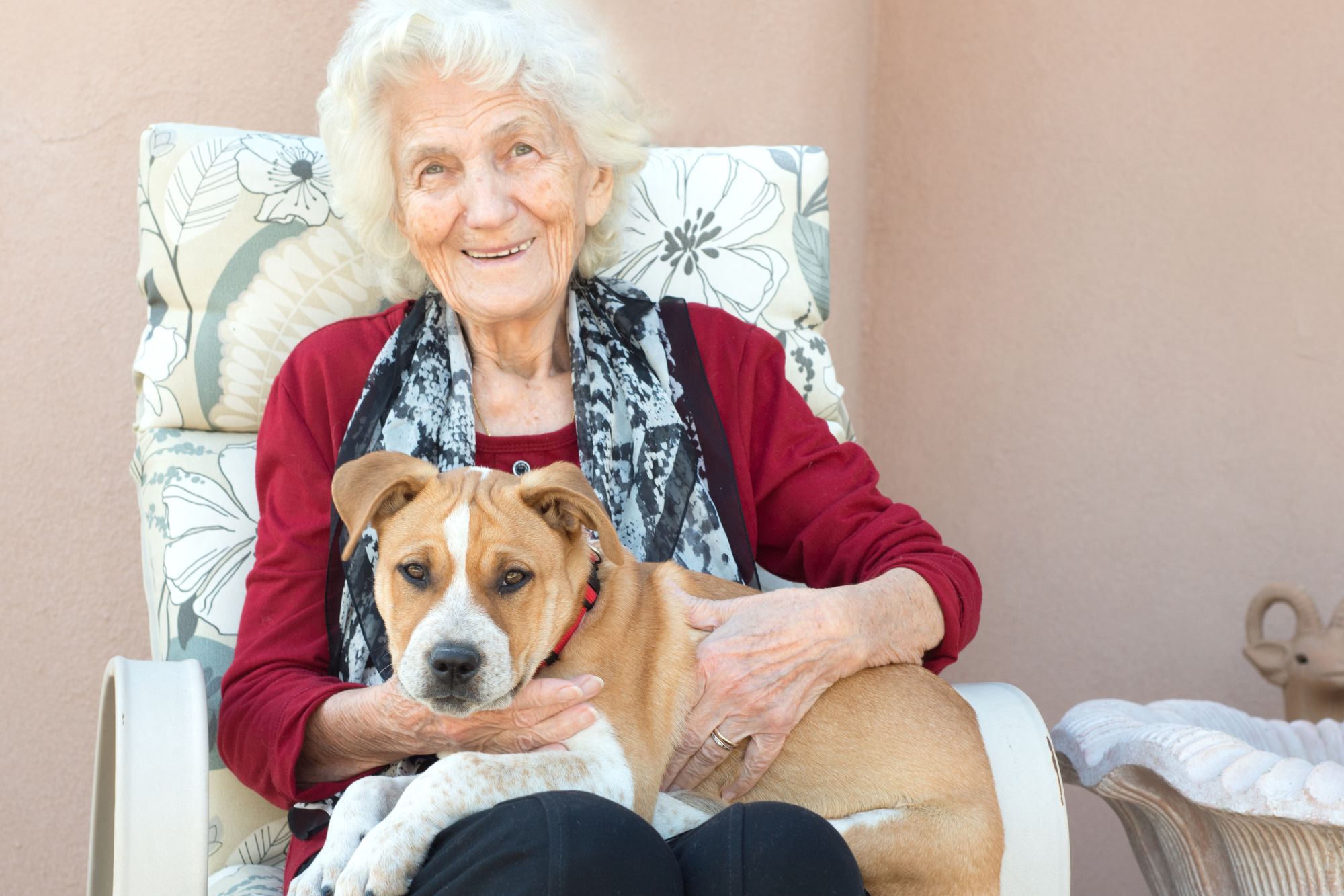Perché un cane può allungarci la vita? Il segreto di longevità secondo Dan Buettner